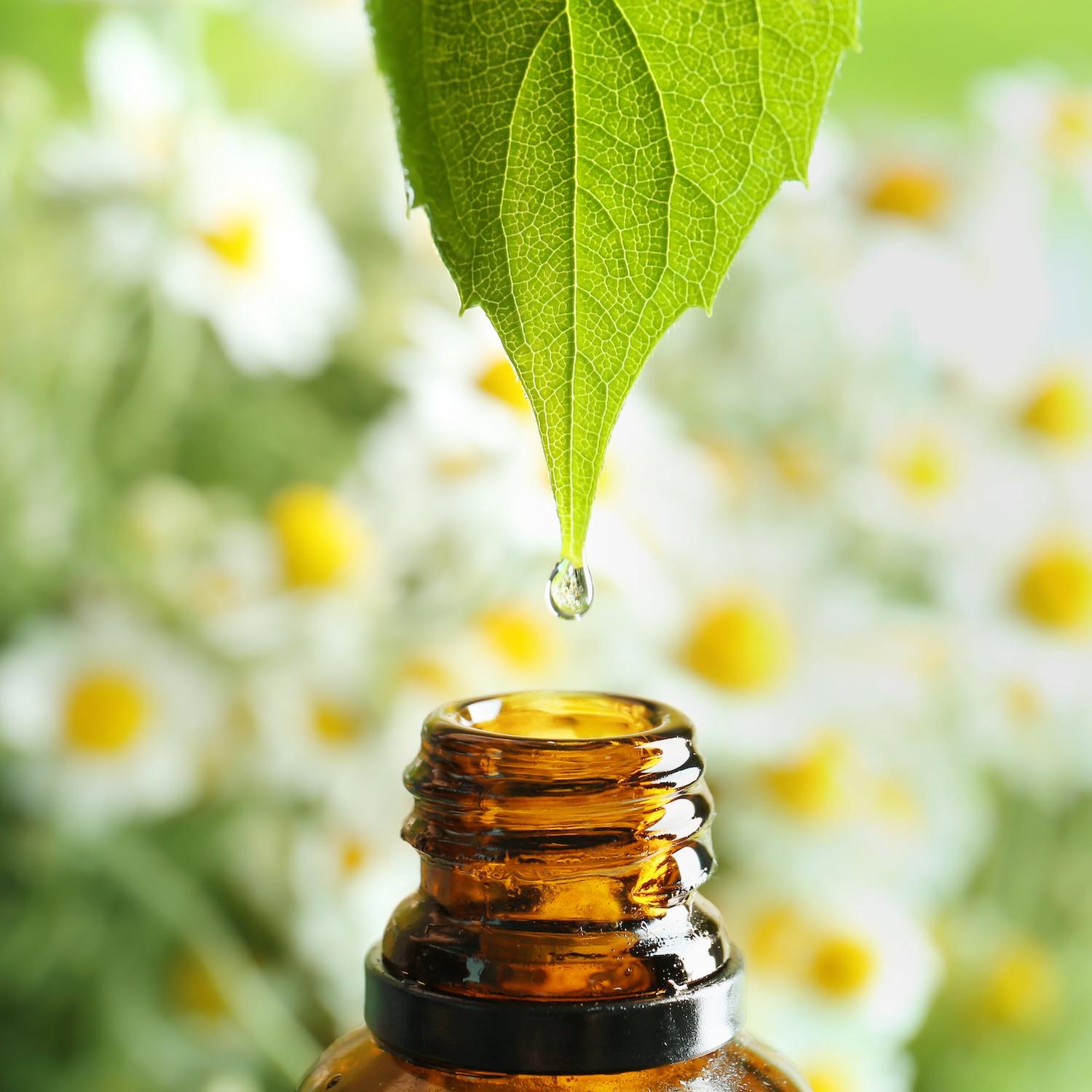 Aromathérapie Pharmacie-Plessiet Aromathérapie Pharmacie-Plessiet